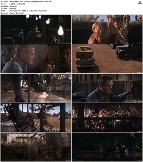 cool hand luke torrent|Cool Hand Luke 1967 1080p BluRay 1400MB DD2.0 x264 .